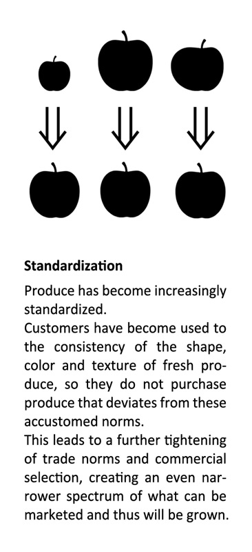 A Pocket Guide to Supermarket Psychology