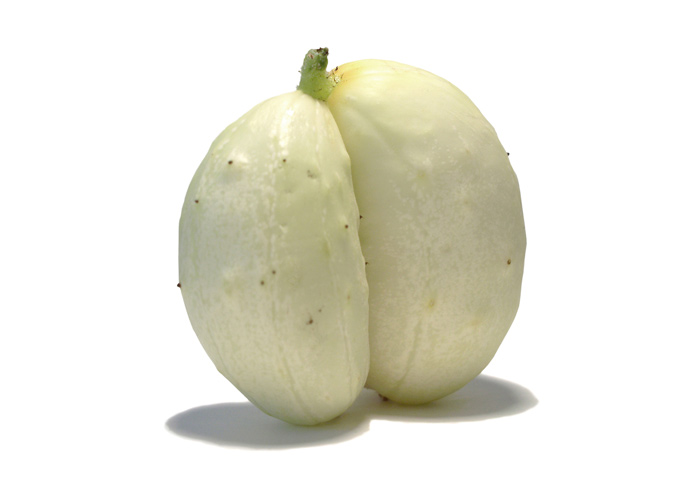 Mutato