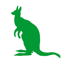 Kangaroo