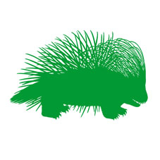 Porcupine